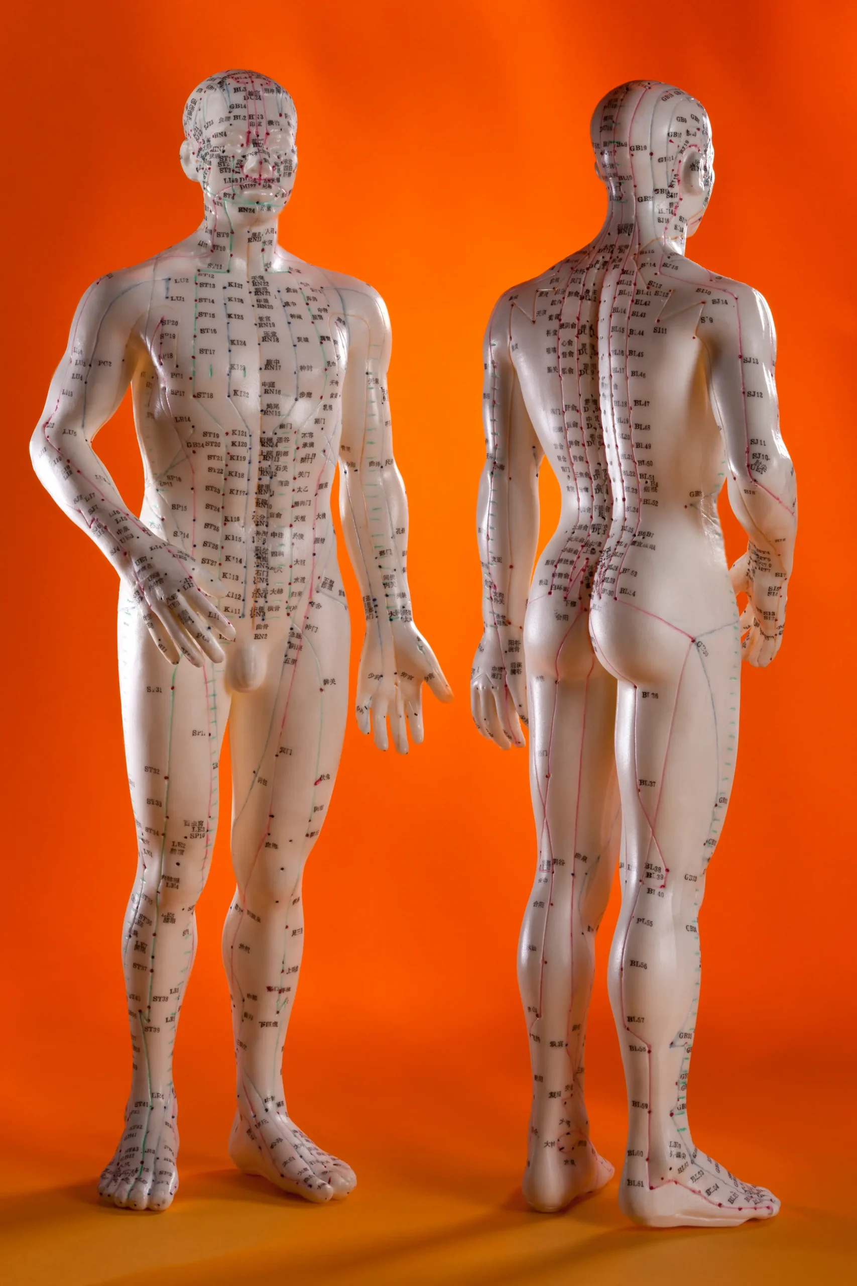 Acupuntura y la fitoterapia de la medicina tradicional china son una solución para aliviar el dolor crónico